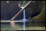 Punchbowl Falls along the Eagle Creek trail (134kb)