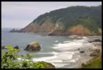 The beach at Ecola Point (32kb)