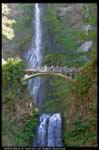 Multnomah Falls - Columbia River Gorge (201kb)