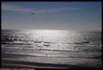 Kite Surfers on the Pacific Ocean (32kb)
