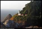 Heceta Head Lighthouse (30kb)