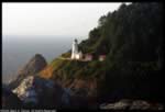 Heceta Point Lighthouse (22kb)